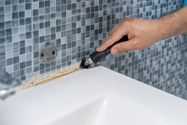Best Affordable Mold Removal  in Terre Du Lac, MO