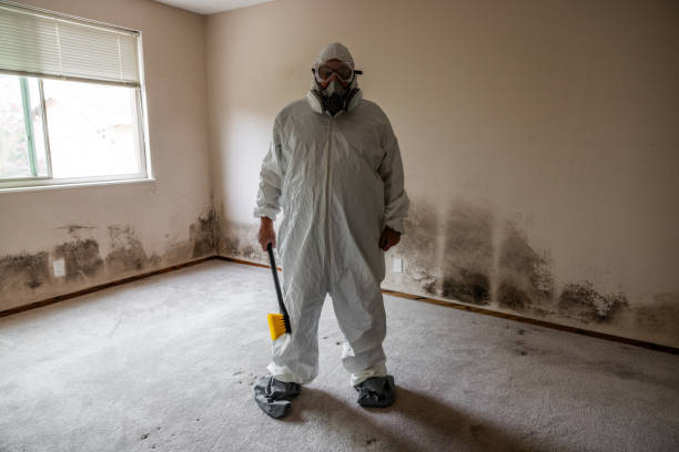 Best Crawl Space Mold Removal  in Terre Du Lac, MO